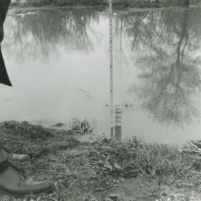 Flood 1966, Adams Street