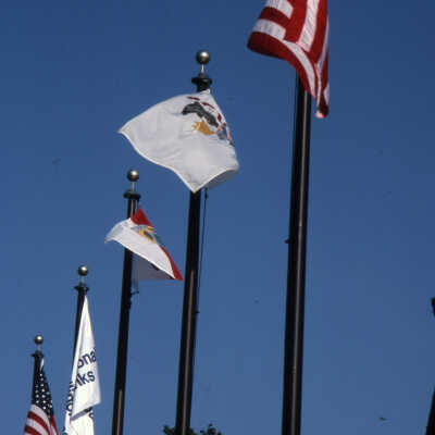 Flags