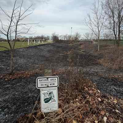 Controlled Burn at Berens Park