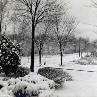 Chandler Avenue, winter scene