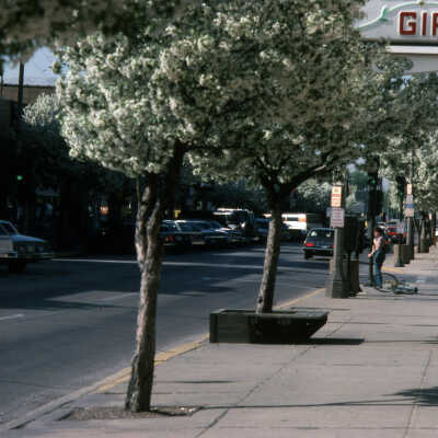 York Street