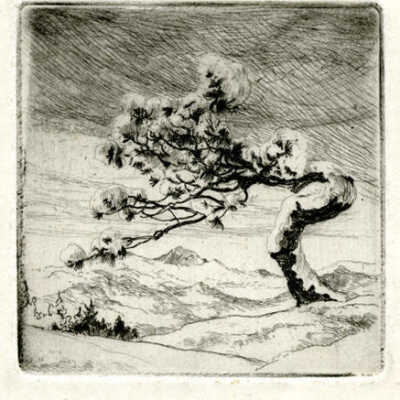 Etching