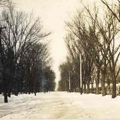 Cottage Hill Avenue, winter scene