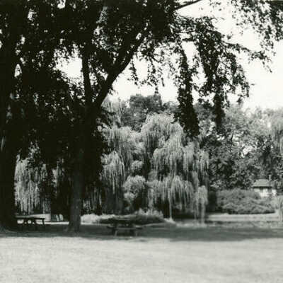 View of Wilder Park