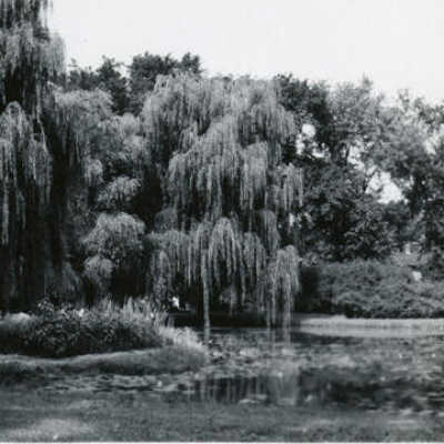View of Wilder Park