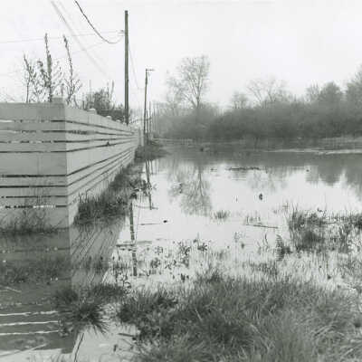 Flood 1966, Salt Creek