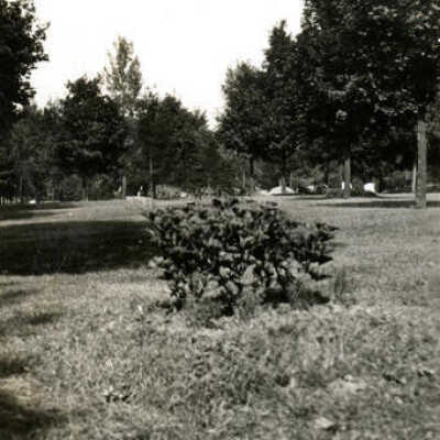Elm Lawn Cemetery
