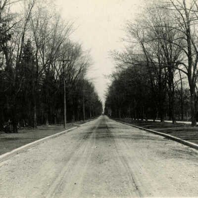 Cottage Hill Avenue, unpaved