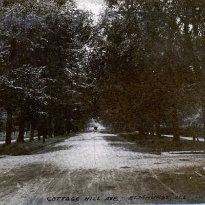 Cottage Hill Avenue, unpaved