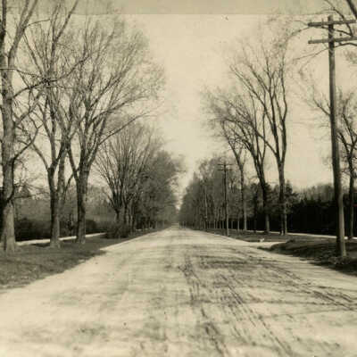 Cottage Hill Avenue, unpaved