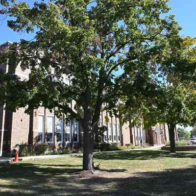 Hawthorne Elementary School
