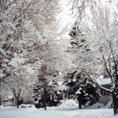 Hawthorne Avenue, winter scene
