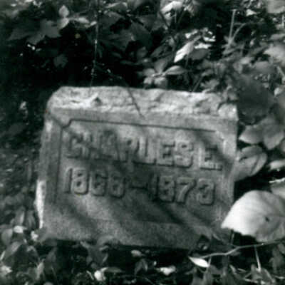 York Township Cemetery