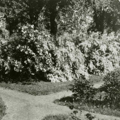 490 S. York Street, Grounds at Louis Goebel House