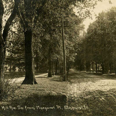 Cottage Hill Avenue, south from Margaret Place