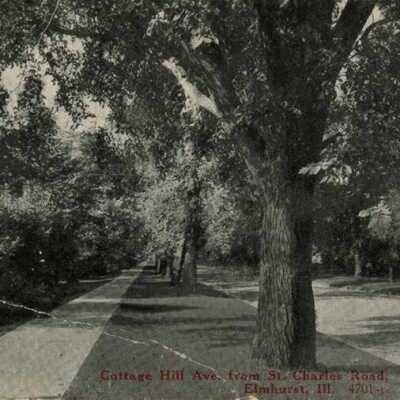 Cottage Hill Avenue, south from St. Charles Road
