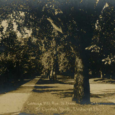 Cottage Hill Avenue, north from St. Charles Road