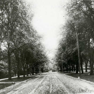 Cottage Hill Avenue, unpaved