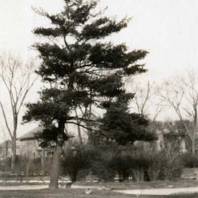 View of Wilder Park