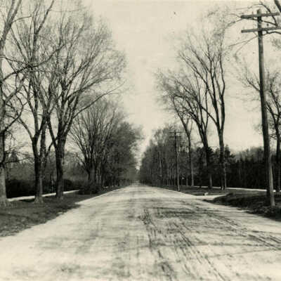Cottage Hill Avenue, unpaved