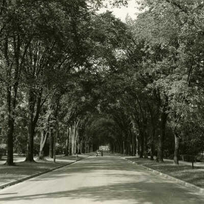 Cottage Hill Avenue