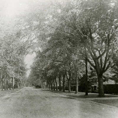 Cottage Hill Avenue, unpaved