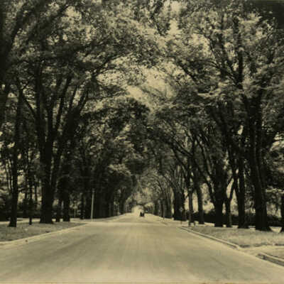 Cottage Hill Avenue