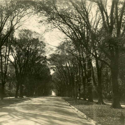 Cottage Hill Avenue