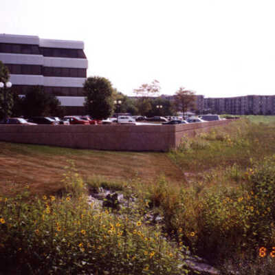 Elmhurst Levee