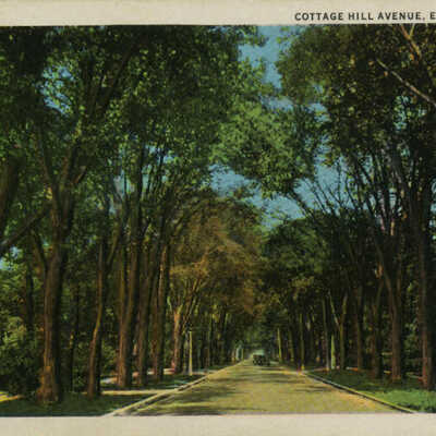 Cottage Hill Avenue