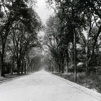 Cottage Hill Avenue