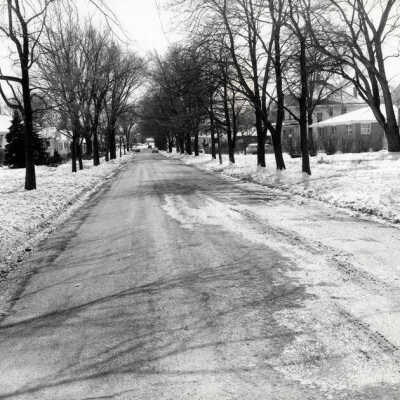 Oak Street, looking south from 183 Oak Street