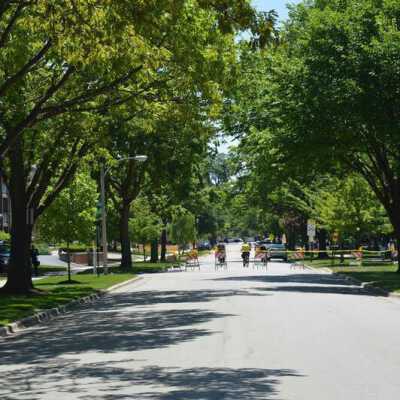 Police Barricade at Cottage Hill Avenue