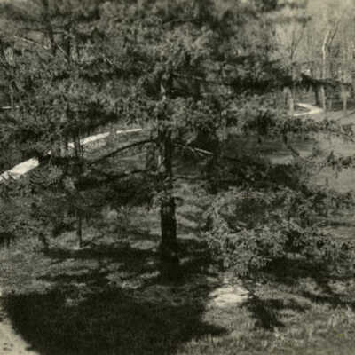 Grounds of the Hagans Estate