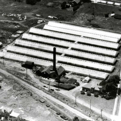 Dramm Greenhouses at 601 S. York Street