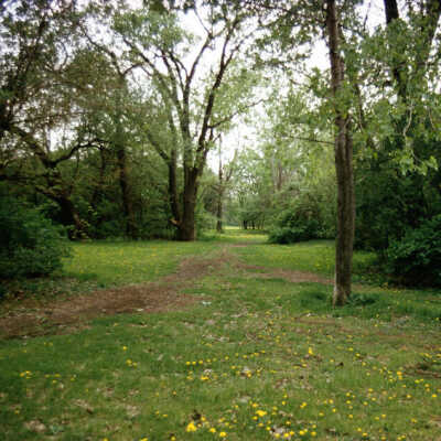 Wild Meadows Trace