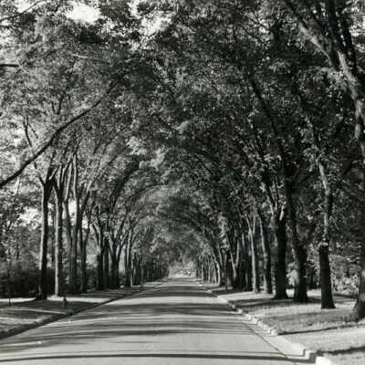 Cottage Hill Avenue