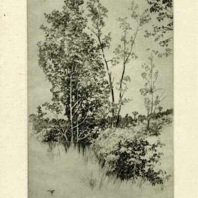 Print, Lee Sturges Etching