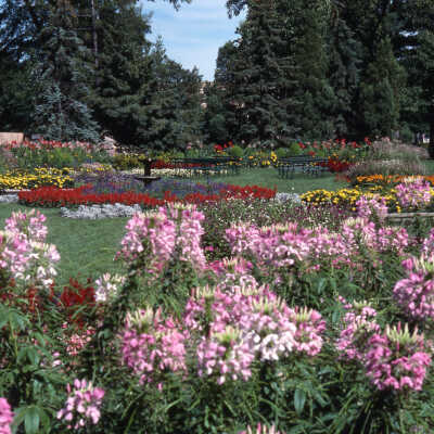 Wilder Park, formal gardens