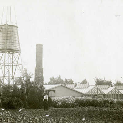 Swenson's Greenhouse