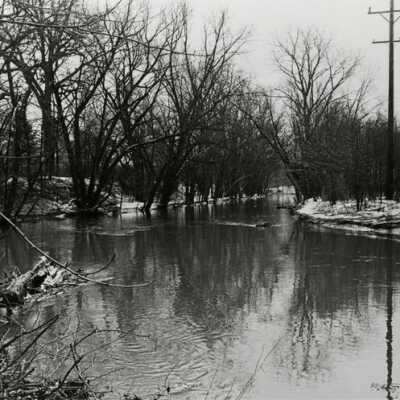 Flood