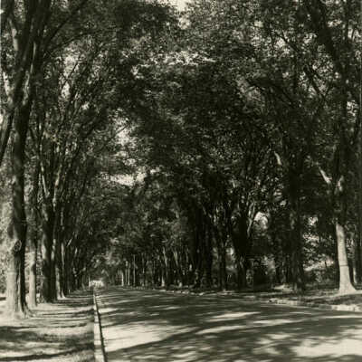 Cottage Hill Avenue