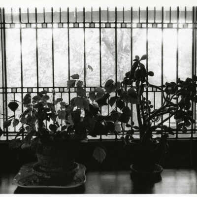 House at 301 S. Kenilworth Interior