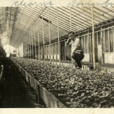 Wendland Keimel Greenhouse Employee