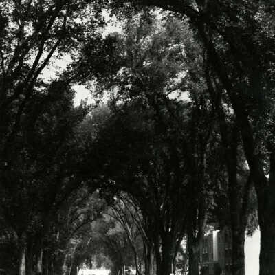 Cottage Hill Avenue