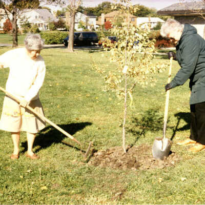 Elmhurst Park District, Memorial Tree program