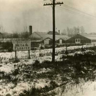 Hoffmann Greenhouse at 262 Eggleston Avenue