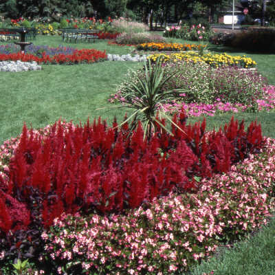 Wilder Park, formal gardens