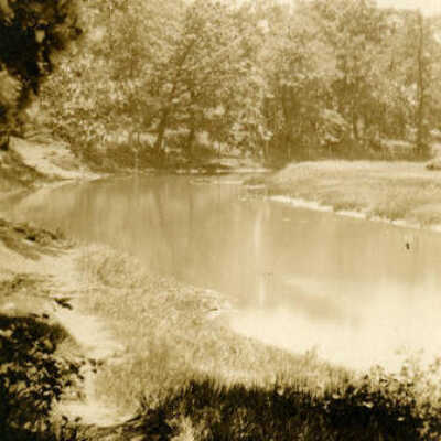 Salt Creek