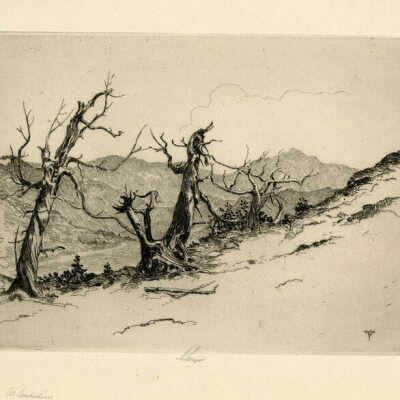 Print, Lee Sturges Etching